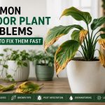 Common indoor plant problems including yellow leaves, brown tips, overwatering, pest infestation, and lack of light with practical plant care solutions