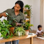 How to Get Rid of Spider Mites on Indoor Plants: A Beginner’s Guide