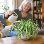 Woman in her 60s watering a healthy spider plant while her dog and cat watch