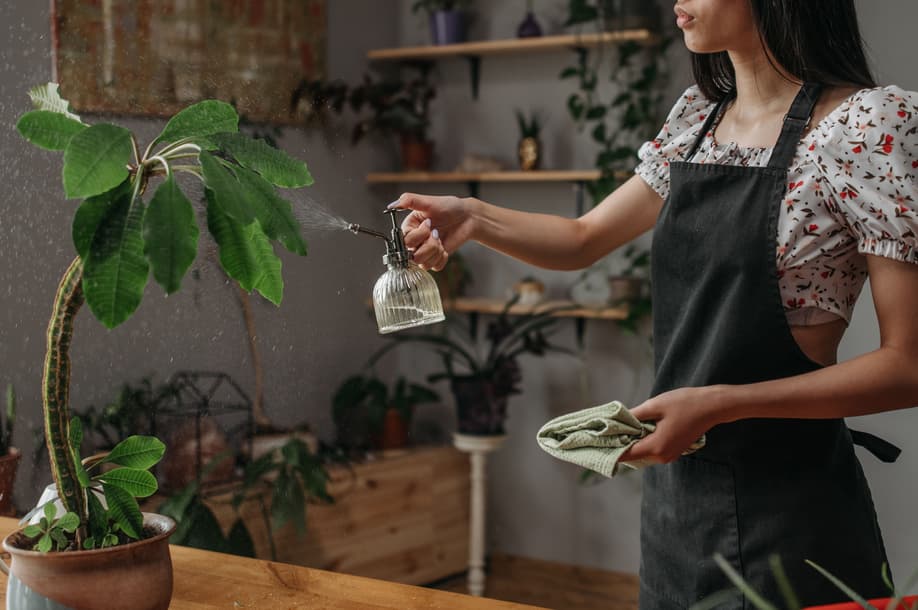 Managing the hardest indoor plant pests requires careful inspection, appropriate treatments, and consistent plant care.